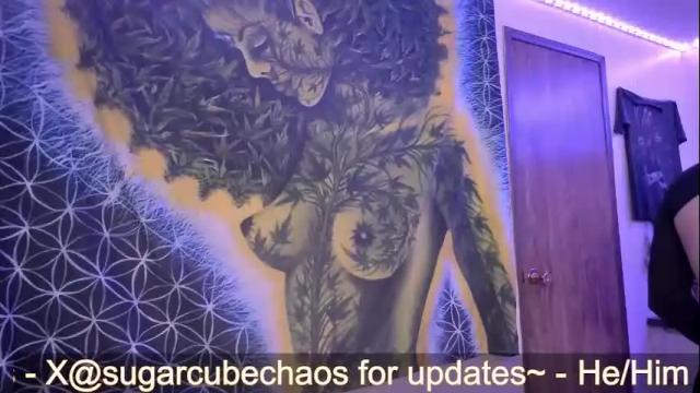 Image 8 of chaoticsugarcube Stream on Chaturbate on 1 month ago