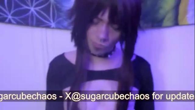 Image 3 of chaoticsugarcube Stream on Chaturbate on 28 days ago