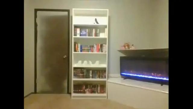 Image 2 of charlespig84 Stream on Chaturbate on 25 months ago