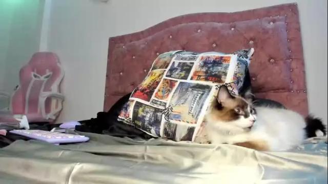 Image 10 of charlotte_47 Stream on Chaturbate on 5 days ago