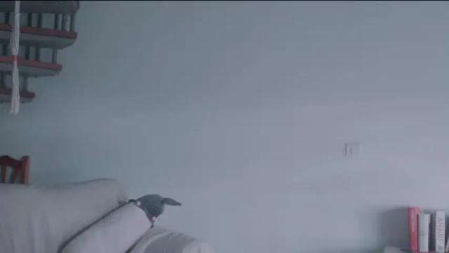 Thumbnail 2, chaturbatable's Stream at Chaturbate, 23 days ago