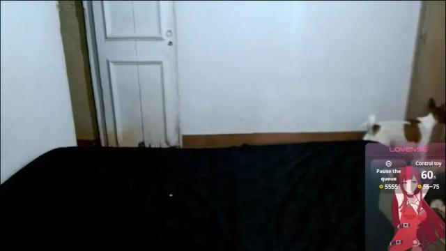 Thumbnail 2, cherrylugosi's Stream at Chaturbate, 3 months ago