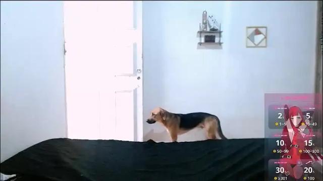 Image 12 of cherrylugosi Stream on Chaturbate on 1 month ago