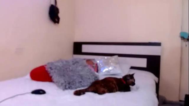 Image 8 of chikandela Stream on Chaturbate on 18 days ago
