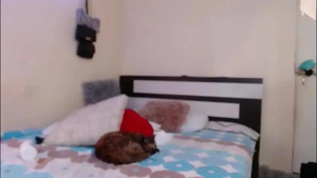 Thumbnail 1, chikandela's Stream at Chaturbate, 1 day ago