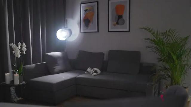 Image 12 of chillwithstacy Stream on Chaturbate on 11 days ago