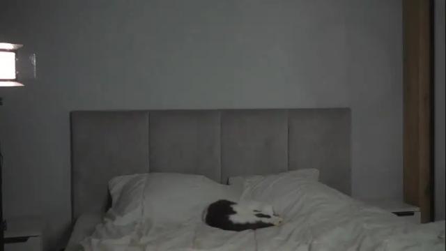 Image 11 of chillwithstacy Stream on Chaturbate on 28 days ago