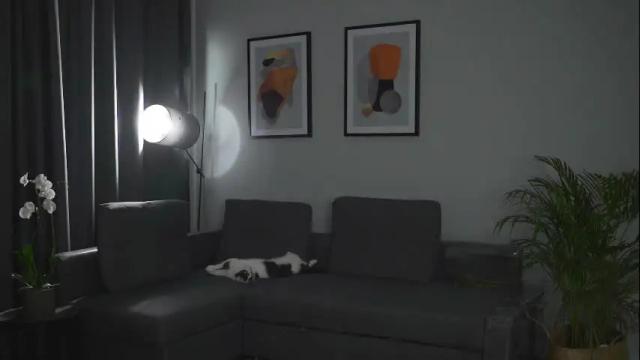 Image 8 of chillwithstacy Stream on Chaturbate on 24 days ago