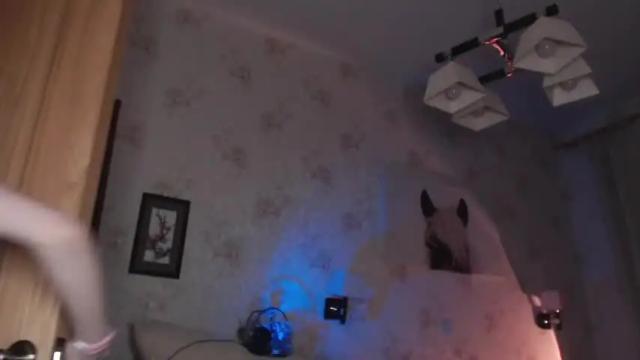Image 7 of chloe_wilsonn Stream on Chaturbate on 14 months ago