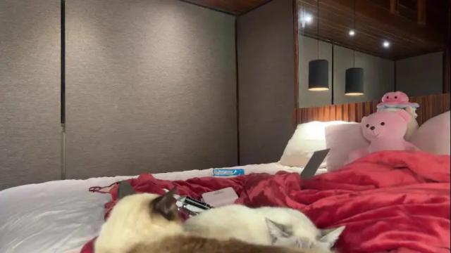 Image 2 of christinasage Stream on Chaturbate on 1 month ago