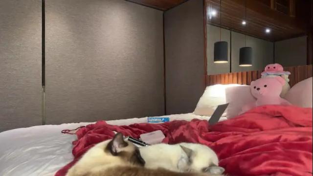 Image 4 of christinasage Stream on Chaturbate on 1 month ago