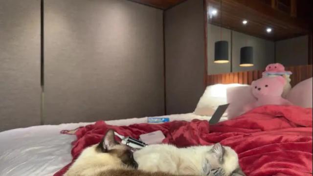 Thumbnail 2, christinasage's Stream at Chaturbate, 1 month ago