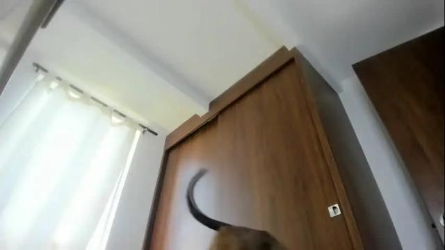 Thumbnail 2, cielo_9's Stream at Chaturbate, 1 month ago