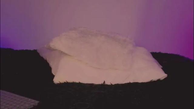 Image 7 of cinderella_lewis Stream on Chaturbate on 15 days ago