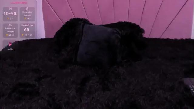 Thumbnail 2, cintiacolins's Stream at Chaturbate, 1 month ago