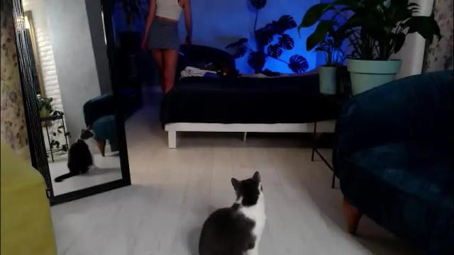 Thumbnail 2, clara_bendover's Stream at Chaturbate, 2 months ago