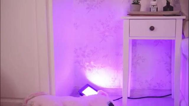 Image 10 of clarahazell Stream on Chaturbate on 1 month ago
