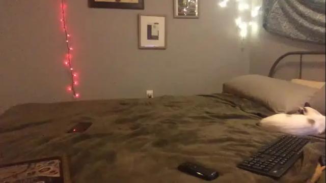 Thumbnail 2, clementinelovesrex's Stream at Chaturbate, 16 months ago