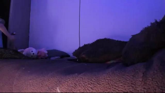 Image 11 of clloy_ Stream on Chaturbate on 16 months ago