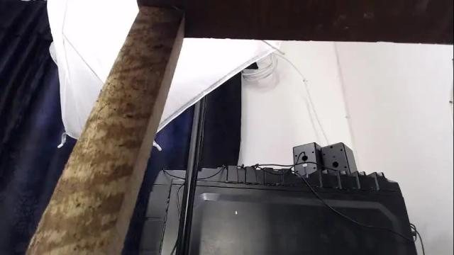Image 10 of cloehonney Stream on Chaturbate on 23 days ago