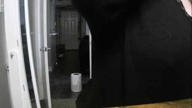 Image 3 of codieraye Stream on Chaturbate on 2 months ago