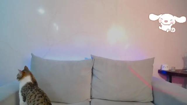 Image 12 of conny_sweet1 Stream on Chaturbate on 24 months ago