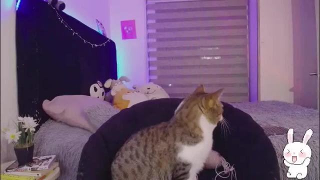 Image 2 of conny_sweet1 Stream on Chaturbate on 1 month ago