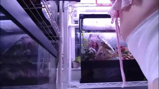 Thumbnail 2, constantcumquest's Stream at Chaturbate, 1 month ago