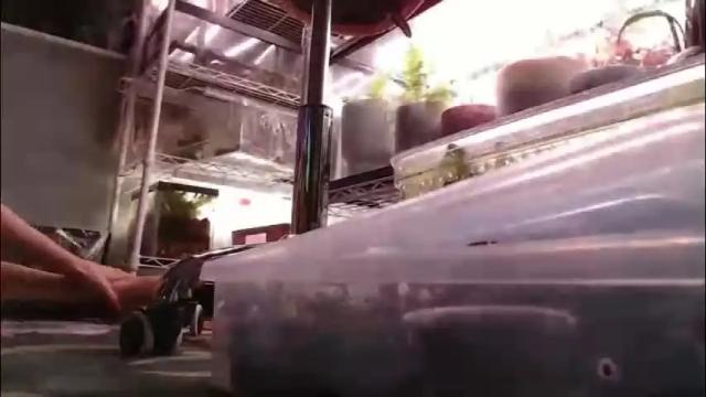 Image 8 of constantcumquest Stream on Chaturbate on 1 month ago