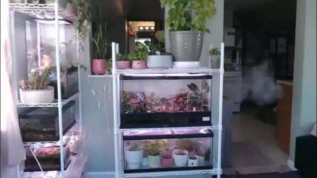 Image 11 of constantcumquest Stream on Chaturbate on 1 month ago