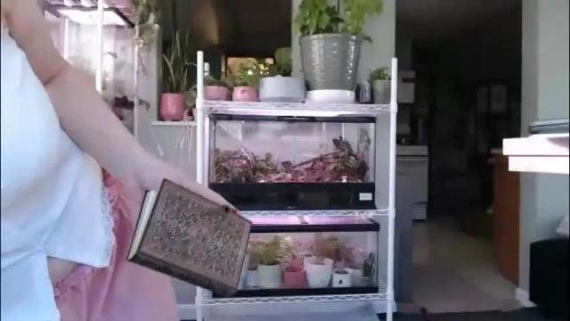 Image 3 of constantcumquest Stream on Chaturbate on 1 month ago