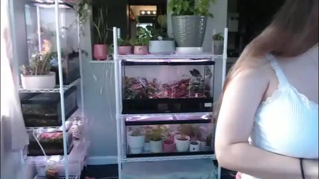 Thumbnail 2, constantcumquest's Stream at Chaturbate, 1 month ago