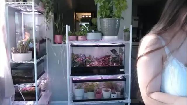 Image 6 of constantcumquest Stream on Chaturbate on 1 month ago