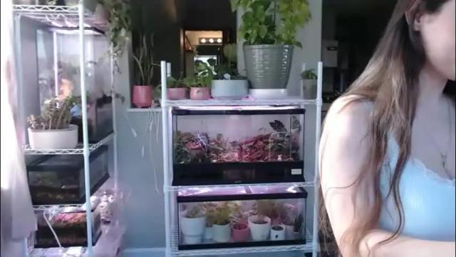 Image 8 of constantcumquest Stream on Chaturbate on 1 month ago