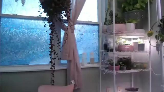 Image 11 of constantcumquest Stream on Chaturbate on 29 days ago