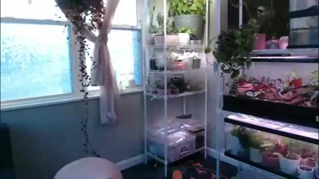 Image 6 of constantcumquest Stream on Chaturbate on 29 days ago