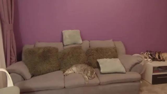 Image 12 of corysweety Stream on Chaturbate on 14 months ago