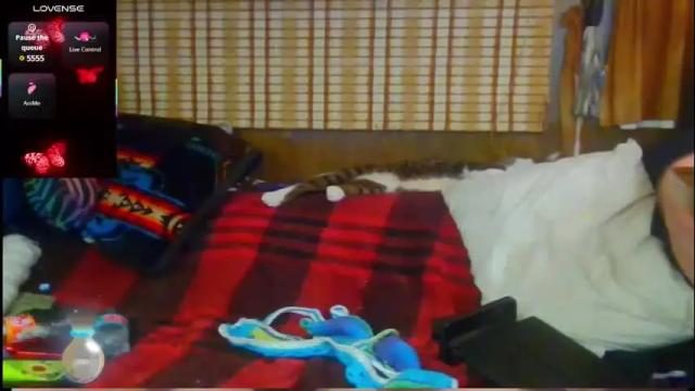 Thumbnail 1, countryfuckers's Stream at Chaturbate, 12 days ago