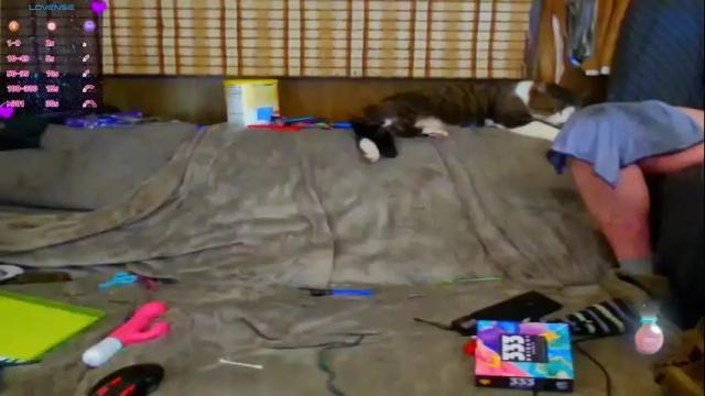 Image 10 of countryfuckers Stream on Chaturbate on 2 months ago