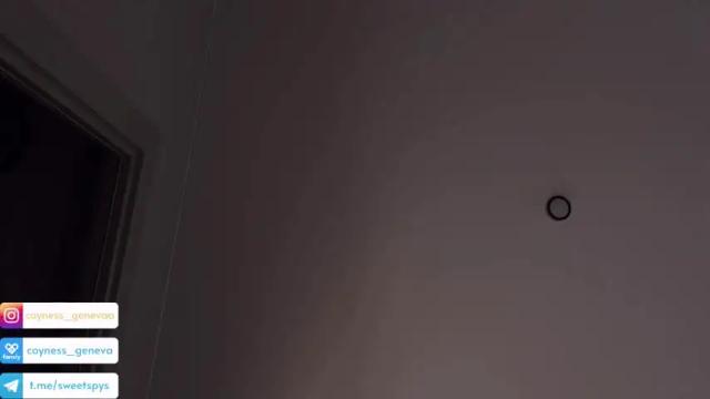Image 11 of coyness_geneva Stream on Chaturbate on 14 months ago