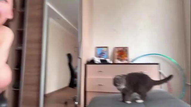 Image 3 of coyness_geneva Stream on Chaturbate on 14 days ago