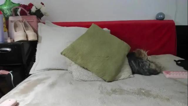 Image 10 of crazygirlsweet Stream on Chaturbate on 2 months ago