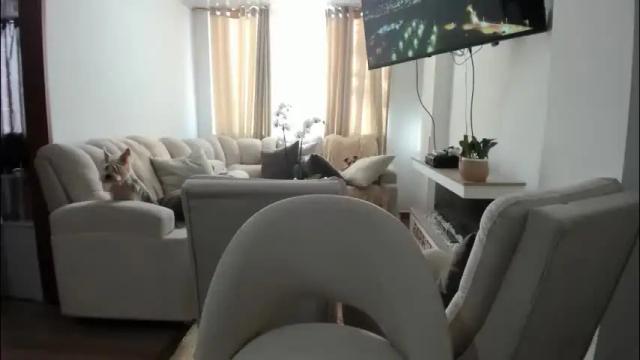 Image 3 of crazygirlsweet Stream on Chaturbate on 4 days ago