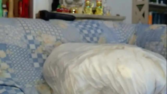 Image 10 of creampienacia Stream on Chaturbate on 1 month ago