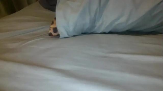 Thumbnail 1, creamycocobabe's Stream at Chaturbate, 2 days ago