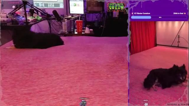Thumbnail 3, creepycrawlyqueen's Stream at Chaturbate, 1 month ago