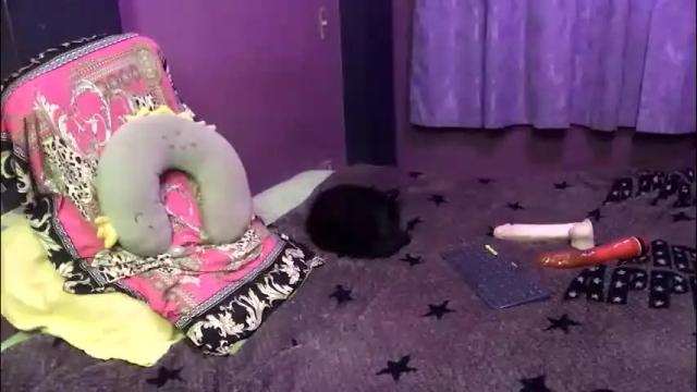 Image 2 of cristinadickclit Stream on Chaturbate on 2 months ago
