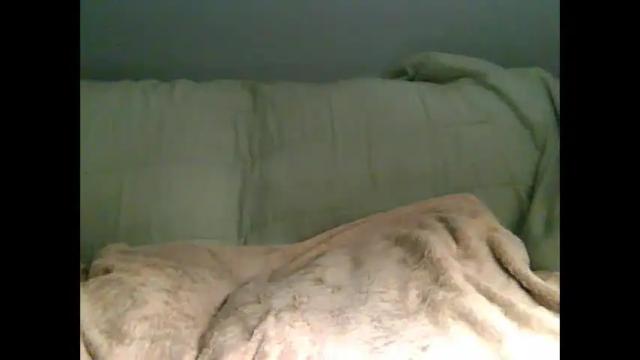Image 8 of cristinadivine Stream on Chaturbate on 19 days ago