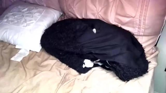 Image 11 of cristyrocksoff69 Stream on Chaturbate on 14 months ago