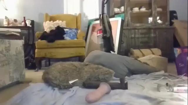Image 8 of crystalplaygirl Stream on Chaturbate on 14 months ago